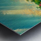 Joy At The Waterfall Metal print