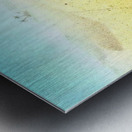 Cat Sandbox Metal print