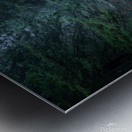 Avenue of the Giants Metal print