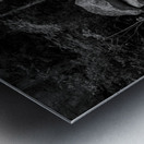 Long Shoals Rocks Metal print