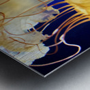 Jelly Metal print