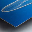 Pick Your Seat Metal print