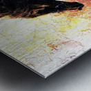 2553 Metal print