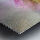 62D6BD45 BAC3 4609 9903 627048760705 Metal print