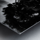 El Angel  Metal print