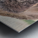 Love Is In The Air Metal print