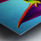 4EB33E6F D42F 4480 B98D 5F93C1849770 Metal print