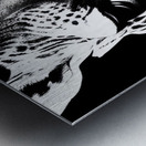 6E84BD6A F101 4CAF B397 B3657D53C446 Metal print