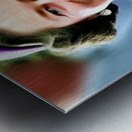 Queen Elizabeth II Metal print