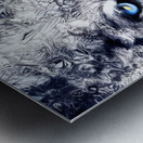 05619FF6 BAEC 427B B76D 07ABD734E2C3 Metal print