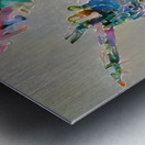 AF62EE04 A4ED 4444 A99F D52E2C4CFC9F Metal print