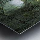 Pathway Series- 1 Charons Garden Metal print