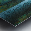 Pathway Series-3 Sulphur Park Metal print