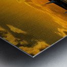 2B2601B3 1EA9 4FFB BE34 6DF4F948F7C8 Metal print