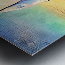 8C5C6EF7 113A 4559 9809 9C287B85A07B Metal print