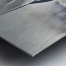 5A316BD0 5DF5 4E5D 8A44 575239D684F1 Metal print