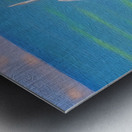 132042D9 8775 4C8C 9AFC 282F2F7CECC2 Metal print