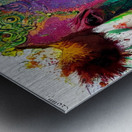 B638C372 505A 4267 91E3 F451C40717A8 Metal print