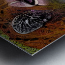 DA1AF81E 5976 4AC0 99B9 D1E6E9E2C2F6 Metal print