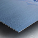 Mt Rainier Metal print