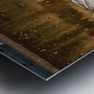 Farm Ducks Metal print