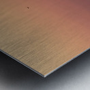 American Summer Metal print