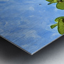 F831CCF0 A92D 492B A3AE 1FC84FF26667 Metal print