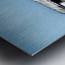 2461667F 539F 492F B636 F695B83114F8 Metal print