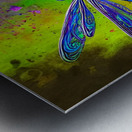 6B91644A C056 4065 9469 93EFE781B85C Metal print