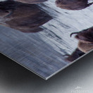 IMG 2895 Metal print