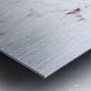 DSC03412 2 Metal print