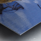 DSC03195 2 Metal print