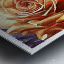 YELLOW ROSE  Metal print