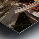 Fall Colors Metal print