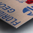 1982 Georgia Bulldogs vs. Florida Gators Football Ticket Art Metal print