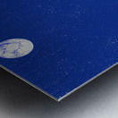 Night Flight Metal print