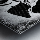 Witch Doctor Metal print