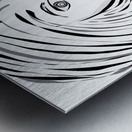 IMG 0424 Metal print