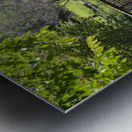 Bridge over pond Metal print