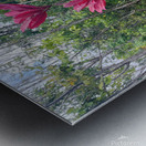 8E40C966 C272 4FD6 BC86 36B25337B445 Metal print