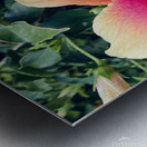 4E876D4E 8694 4A9D 987A ACCFED873125 Metal print