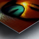 BF88C679 E55F 4907 9B48 E7995FE03DA5 Metal print