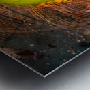 Fire Apple Metal print