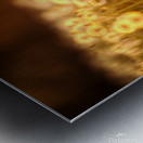 Artwork - Gods Paintbrush - St. Charles County Metal print