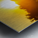 Nature Photography - A Crown - Indian Camp Creek Wentzville Metal print