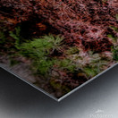 Pink Fox Metal print