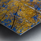 Aspen  Curve Metal print