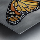 Divine Simplicity   Metal print