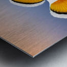 Clown Fish Metal print