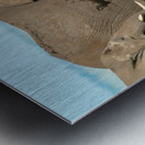 Elephants in a Row   Baby in Middle  Metal print